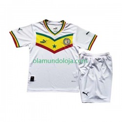 Camisola Senegal Criança Equipamento Primeiro Copa do Mundo 2022 Manga Curta
